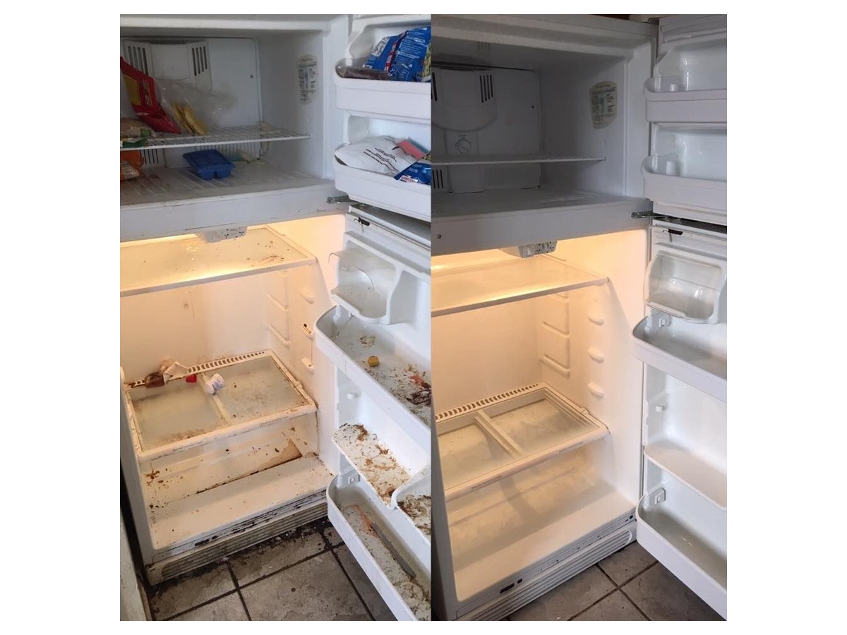 Refrigerator before and after cleaning